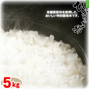 【送料無料！】【令和5年度】新潟ひかりっこ 新潟県産　特別栽培米　ひかりっこ米 5kg100% 自家製のこしひかり！