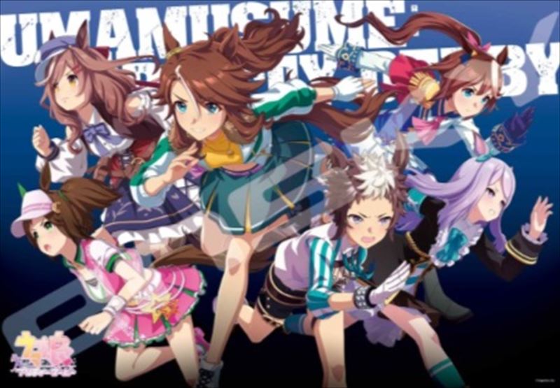 1000ピースジグソーパズル ウマ娘 プリティーダービー ビジュアルアートシリーズ(1) エンスカイ 1000T-352 (51×73.5cm)