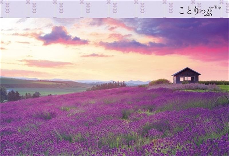 300�ԡ������������ѥ��� ������ ���ݥå��� 26-367s (26��38cm)