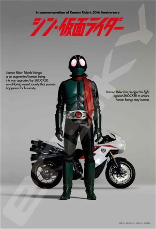 300�ԡ������������ѥ��� ���󡦲��̥饤���� �����־��ʡ� ���󥹥��� 300-3039 (26��38cm)