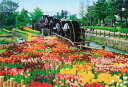 1053スーパースモールピースジグソーパズル 五連水車と花咲く公園-富山 《廃番商品》 アポロ社 49-608 (26×38cm)(3)