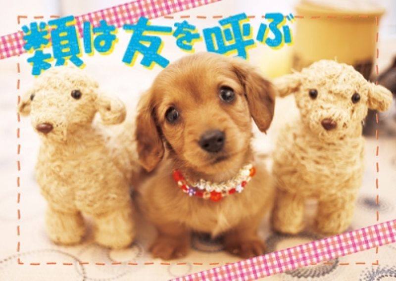 108ピースジグソーパズル 類は友を呼ぶ アップルワン 108-074 (18.2×25.7cm)