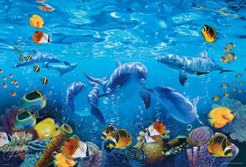 【引上品】1000ピースジグソーパズル クルージング ドルフィン（CRラッセン） 《廃番商品》 ビバリー 81-978 (49×72cm)