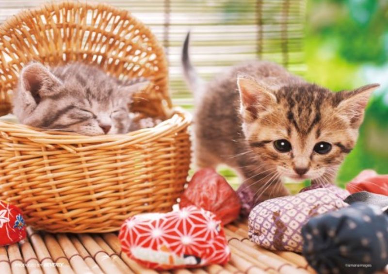 乐天商城 - 108ピースジグソーパズル なんだろう？ 《廃番商品》 ビバリー P64-104 (18.2×25.7cm)