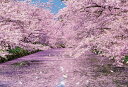 300ピースジグソーパズル 弘前公園の桜 ビバリー 33-184 (26×38cm)