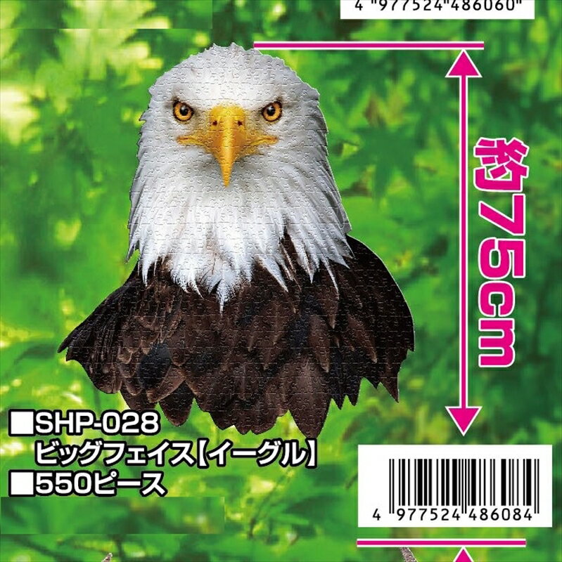 550�ԡ������������ѥ��� �ӥå��ե����� �������� �����־��ʡ� �ӥХ꡼ SHP-028 ���̳�ƻ������ �����Բġ�