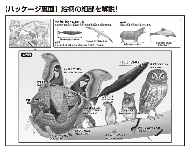 組絵門(くみえもん)の150ラージピースジグソーパズル もっとくらべる図鑑 いろいろ大きさくらべ 《廃番商品》 ビバリー L74-151 (26×38cm)｜アングル2