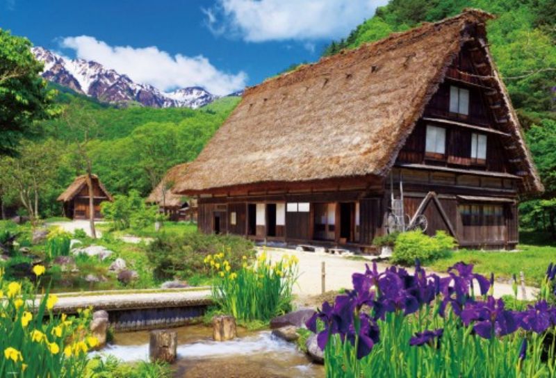 Scenery - 2000スモールピースジグソーパズル 菖蒲咲く白川郷 《廃番商品》 ビバリー S72-524 (49×72cm)