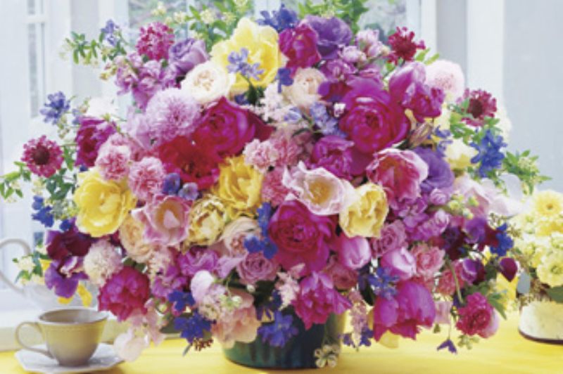 1500���⡼��ԡ������������ѥ��� �����ˤʤ륷��С� �����־��ʡ� ���ݥå��� 15-403 (50��75cm)