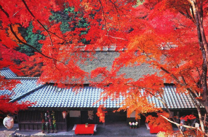 乐天商城 - 1000ピースジグソーパズル 嵯峨野茶屋の秋-京都 《廃番商品》 エポック社 10-726 (50×75cm)