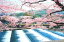 1000ピースジグソーパズル 宇治川の流れと桜-京都 《廃番商品》 エポック社 10-740 (50×75cm) 15,708円