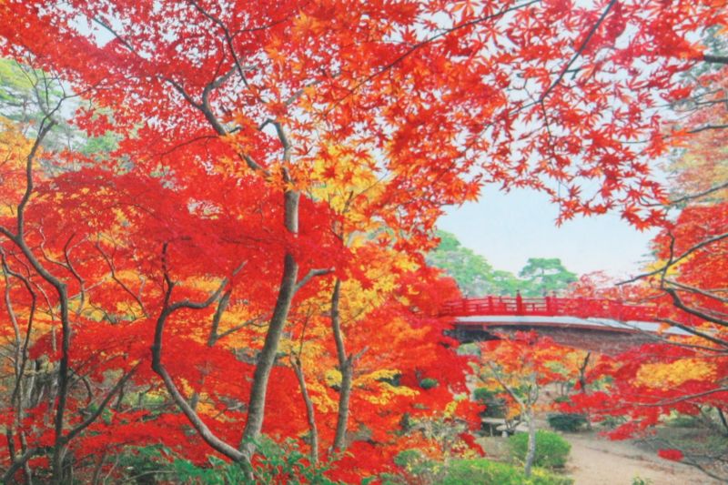 1000ピースジグソーパズル 弥彦公園もみじ谷-新潟 《廃番商品》 エポック社 10-748 (50×75cm)のサムネイル