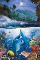 1000�ԡ������������ѥ��� ����󥰥��ࡼ��饤�ȡ�CR��å���� �����־��ʡ� ���ݥå��� 12-026 (50��75cm)