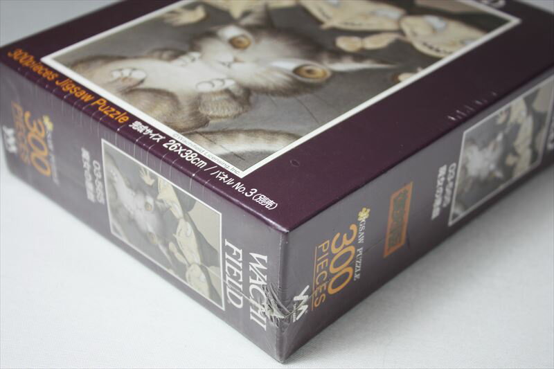 �ڰ����ʡۢ������ʢ�300�ԡ������������ѥ��������ΰ�����WACHI FIELD/����դ�����ɡˡ١����־��ʡ�