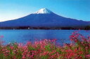 1000ピースジグソーパズル 河口湖と富士山 《廃番商品》 ロード RS-13-182 (50×75cm)