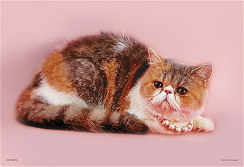 108ラージピースジグソーパズル ぶさカワ アリス おすまし 《廃番商品》 やのまん 01-2056 (26×38cm)