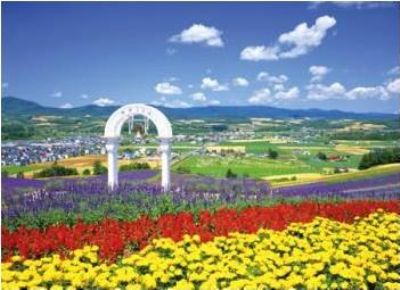 乐天商城 - 【引上品】2014スモールピースジグソーパズル 富良野 -花咲く丘- 《廃番商品》 やのまん No.22-18 (45×62cm)