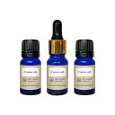 【2点購入で薔薇バーム】 &SH キャスターオイル 30ml (10ml×3本)(精製) キャリアオイル [ 年齢肌 保湿 スキンケア 乾燥肌 頭皮 ケア 毛穴 マッサージ ひまし油 ヒマシ油 カスターオイル キャスターオイルひまし油 ]【 定形外 送料無料 】 +lt3+