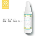  &SH 天然成分 日本製 除菌 スプレー グレープフルーツ 除菌スプレー 100ml 選べる 香料・無香料  +lt3+