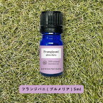 【2点購入で薔薇バーム】 &SH アロマ エッセンシャルオイル ( 精油 ) 100%ピュア フランジパニ ( プルメリア ) アブソリュート 5ml アロマオイル [ 癒し ナチュラル 自然派 エッセンシャルオイル精油 ビーガン ] +lt3+