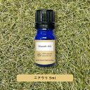 【2点購入でハッカ油】 &SH アロマ エッセンシャルオイル ( 精油 ) 100%ピュア ニアウリ 5ml アロマオイル [ 癒し ナチュラル 自然派 エッセ...