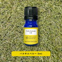 【2点購入でハッカ油】 &SH アロマ エッセンシャルオイル ( 精油 ) 100%ピュア バルサムペルー 5ml アロマオイル [ ペルーバルサム 癒し ナチ...