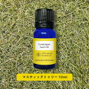 【2点購入でハッカ油】 &SH アロマ エッセンシャルオイル ( 精油 ) 100%ピュア マスティックトゥリー 10ml アロマオイル [ マスティック ツリ...