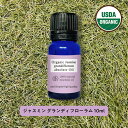 【2点購入で薔薇バーム】 ＆SH アロマ オーガニック エッセンシャルオイル ( 精油 ) 100%ピュア ジャスミン グランディフローラム アブソリュート 10ml アロマオイル [ スペインジャスミン USDA 認証 原料使用 エッセンシャルオイル 精油 ]【定形外 送料無料】 +lt3+