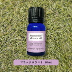 【2点購入で薔薇バーム】 &SH アロマ エッセンシャルオイル ( 精油 ) 100%ピュア ブラックカラント ( カシス ) アブソリュート 10ml アロマオイル [ ブラックカラントオイル クロスグリ油 カシスオイル カシス油 ]【 定形外 送料無料 】 +lt3+