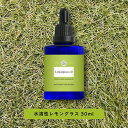 【2点購入でハッカ油】 &SH アロマ 水溶性 エッセンシャルオイル レモングラス 30ml アロマオイル [ 水溶性アロマオイル 香り 精油 水に溶ける 癒し...