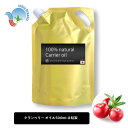 【2点購入で薔薇バーム】 &SH オーガニック認証 原料使用 クランベリーオイル ( 未精製 ) 500ml( 詰め替え )[ キャリアオイル 天然 無添加 フェイスオイル ボディオイル オメガ3系脂肪酸 クランベリーシードオイル 成熟肌 詰替え リフィル ] 【定形外 送料無料】 +lt3+