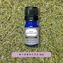 【2点購入でハッカ油】 &SH プレミアム エッセンシャルオイル ローズゼラニウム 5ml [ ローズ ゼラニウム アロマ 精油 植物100% 天然 ピュア ア...