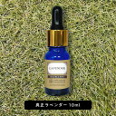 【2点購入でハッカ油】 &SH エクセレント エッセンシャルオイル 真正ラベンダー 10ml スポイトタイプ [ イングリッシュラベンダー アロマ 精油 真正 ...