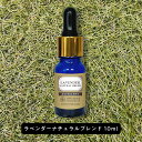 【2点購入でハッカ油】 &SH エクセレント エッセンシャルオイル ラベンダー(ナチュラルブレンド) 10ml スポイト型 [ アロマ 精油 植物100% 天然...