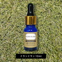 【2点購入でハッカ油】 &SH エクセレント エッセンシャルオイル イランイラン 1st ( ファースト ) 10ml スポイト型 [ アロマ 精油 植物100...