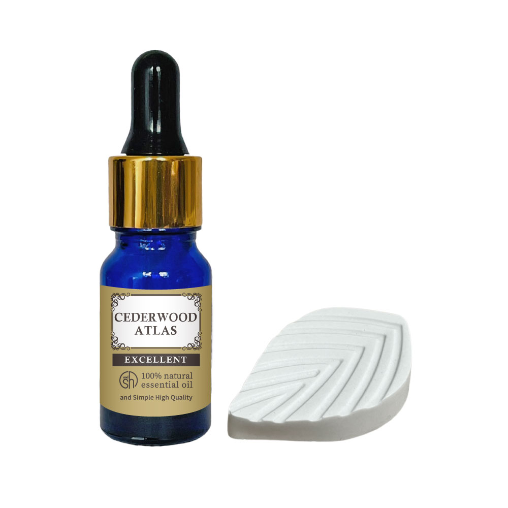 【2点購入で香料GET】 リーフアロマストーン &精油セット &SH エクセレント エッセンシャルオイル シダ..
