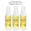  ＆SH イランイランウォーター 300ml ( 100ml×3本セット ) / 100%植物由来 無添加 芳香蒸留水 フローラルウォーター ハイドロソル イランイラン水 アロマウォーター スプレー 化粧水 アロマ 精油 化粧水 ローション フレグランスウォーター +lt3+