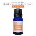 【2点購入で薔薇バーム】 &SH 植物由来70％ タンジェリン フレグランスオイル 10ml アロマオイル [ アロマ フレグランス オイル 香水 ベビーパウダー チョコレート ムスク レモン タンジェリン マンダリン エッセンシャルオイル 精油 アロマストーン と共に人気 ]