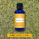 【2点購入で耳そうじ】 &SH 植物由来原料使用 アロマ 水溶性 エッセンシャルオイル ベルガモット 50ml アロマオイル [ 水溶性アロマオイル 香り 精油...