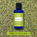【2点購入で耳そうじ】 &SH 植物由来原料使用 アロマ 水溶性 エッセンシャルオイル レモングラス 50ml アロマオイル [ 水溶性アロマオイル 香り 精油...