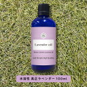 【2点購入でハッカ油】 &SH 植物由来原料使用 アロマ 水溶性 エッセンシャルオイル 真正ラベンダー 100ml アロマオイル [ 水溶性アロマオイル 香り ...