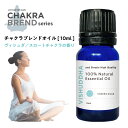 【2点購入で薔薇バーム】 &SH チャクラ オイル ヴィシ