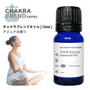 【2点購入で薔薇バーム】 &SH チャクラ オイル アジュナ AJNA 10ml [ アジューナ 香 ...