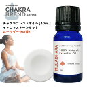 【2点購入で薔薇バーム】 &SH チャクラ オイル ムーラダーラ MULADHARA 10ml ＆アロマストーン セット [ ルートチャクラ 精油 香り 天然 エッセンシャルオイル ブレンドオイル 浄化 ヨガ アロマ アロマオイル ヒーリング スピリチュアル ] +lt3+【 定形外 送料無料 】