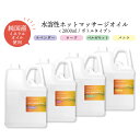 &SH 香りが選べる 水溶性 ホットマッサージオイル ウォーターソルブル 2000ml エステ サロン 用 ラベンダー ローズ ベルガモット バニラ 詰め替え用 [ 2L 1L 業務用 キャリアオイル ボディオイル アロマ マッサージ オイル プロ仕様 温感 温かい ] tg_smc +lt3+