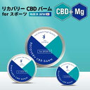 &SH Jo[ CBDo[ for X|[c 12g / 40g / 100g [ CBD /` 4000mg CBDIC ł߂ o[ CBD{fB[N[ ^ g  J J ؓ ɂ }OlVE i {fBo[ }bT[W }bT[WN[  w W AX[g ]+lt3+