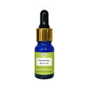 【2点購入で香料GET】 &SH アロマ 水溶性 エッセンシャルオイル ( 精油 ) ユーカリ ディベス 10ml アロマオイル [ 水溶性アロマオイル 香り ...