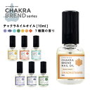 【2点購入でハッカ油】 選べる7種の 香り &SH チャクラネイルオイル 10ml [ チャクラ ネイルオイル ネイル 高保湿 保湿 精油 ヨガ キューティクル...