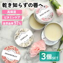 【2点購入でハッカ油】 7種の 香り から選べる 3個セット &SH アロマ ナチュラル リップバーム 10g [ リップ 唇 高保湿 ビタミン ビタミンC 保...