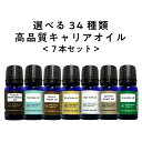 【2点購入で薔薇バーム】 &SH 選べる34種類 7本セット キャリアオイル アンドエスエイチ [ お試し スクワランオイル マルラオイル アルガンオイル ホホバオイル ラズベリーオイル ウチワサボテンオイル プルーンオイル ライスブラン ] tg_smc +lt3+